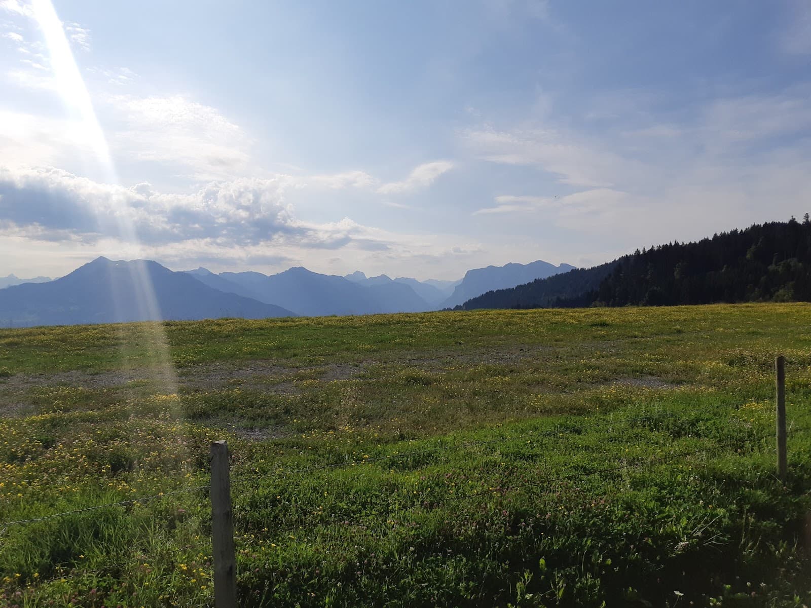 Bödele Losenpass - Image 1