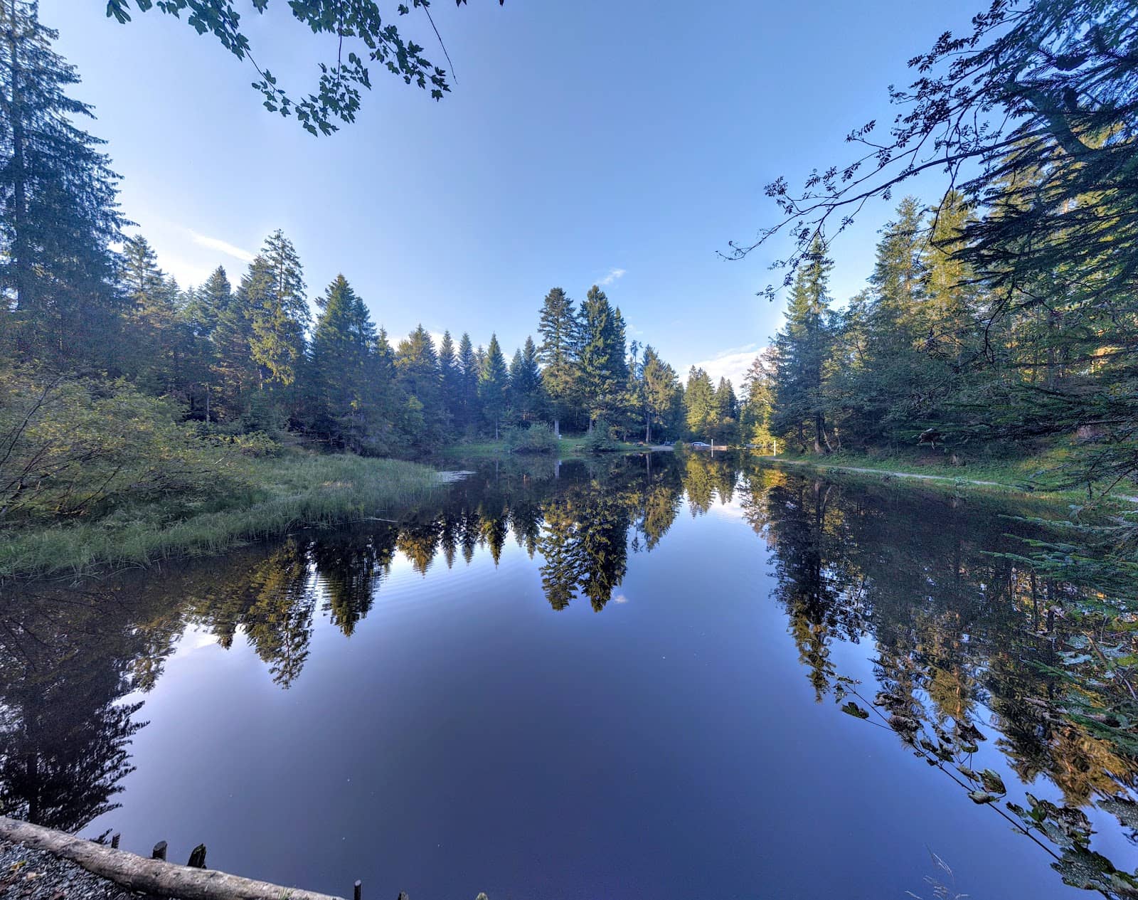 Vertical photo