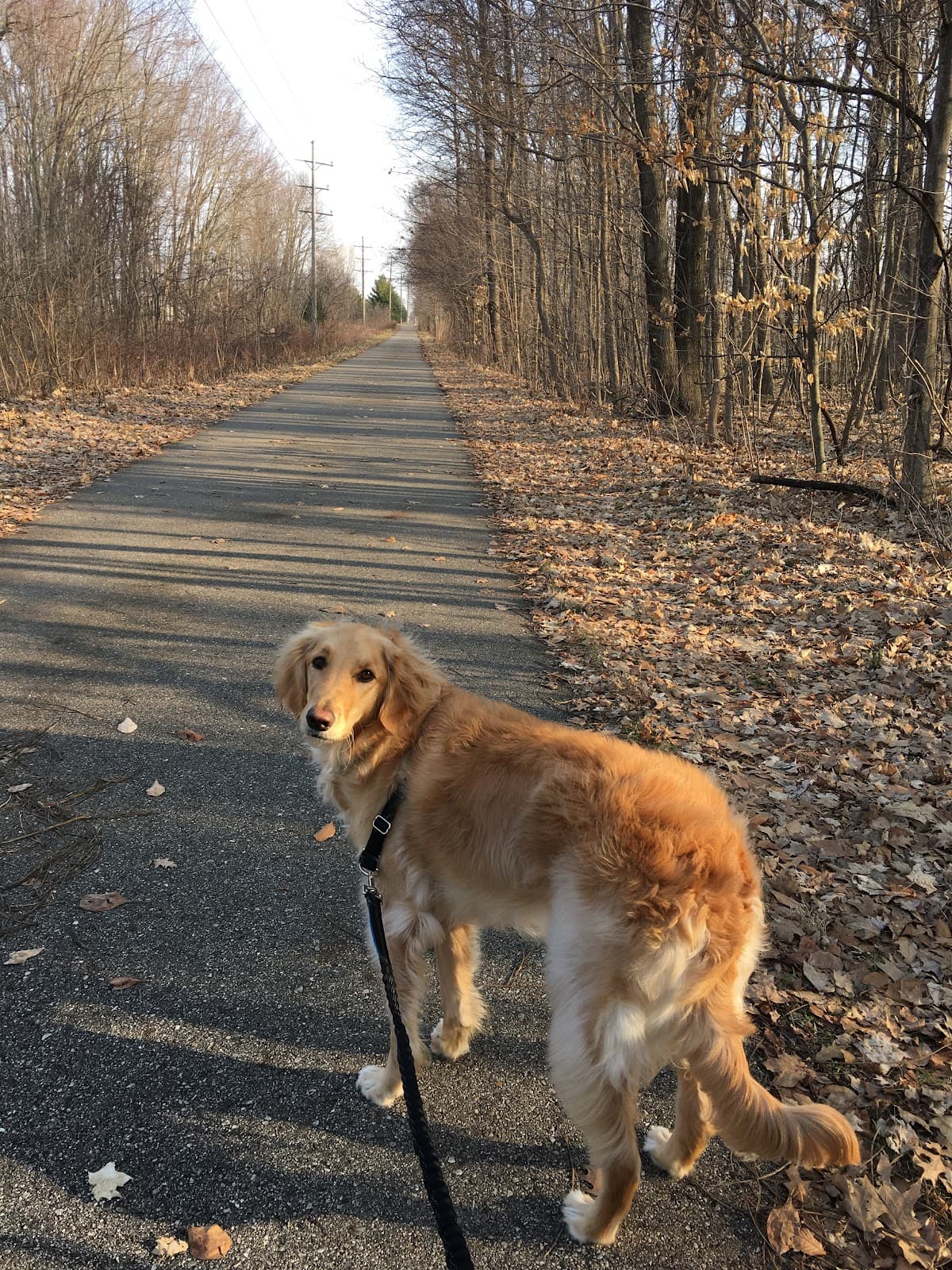 Kent Trails - Image 1