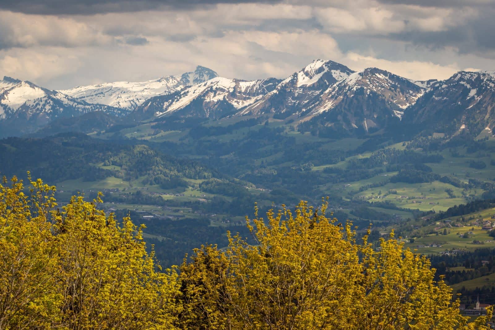 Alpine Wildlife Park (Alpenwildpark)
