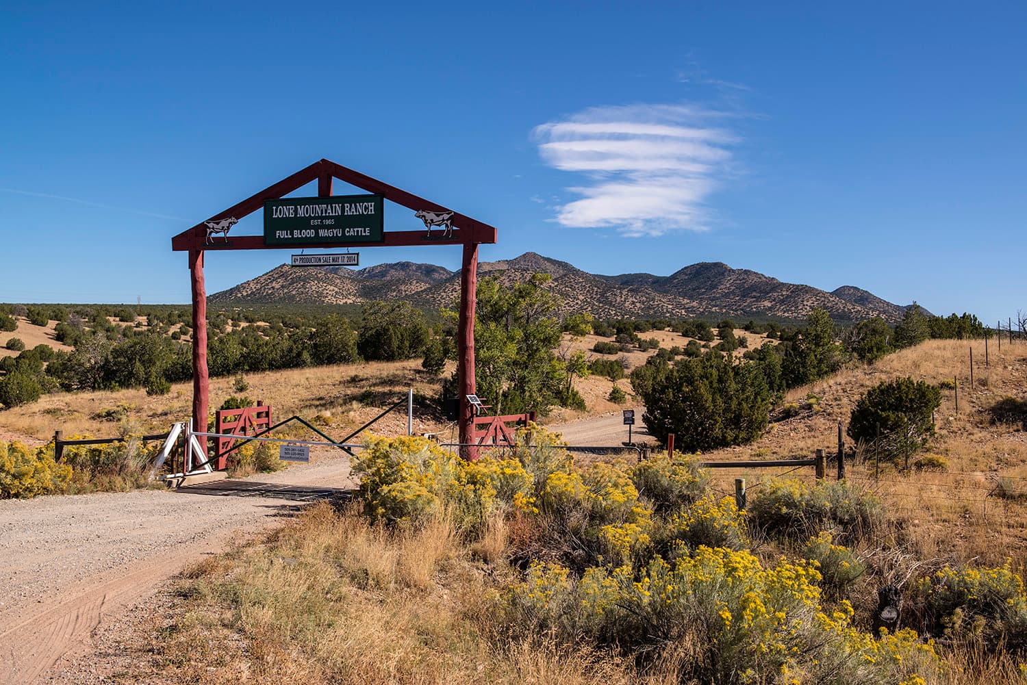 Madrid Turquoise Trail - Image 1