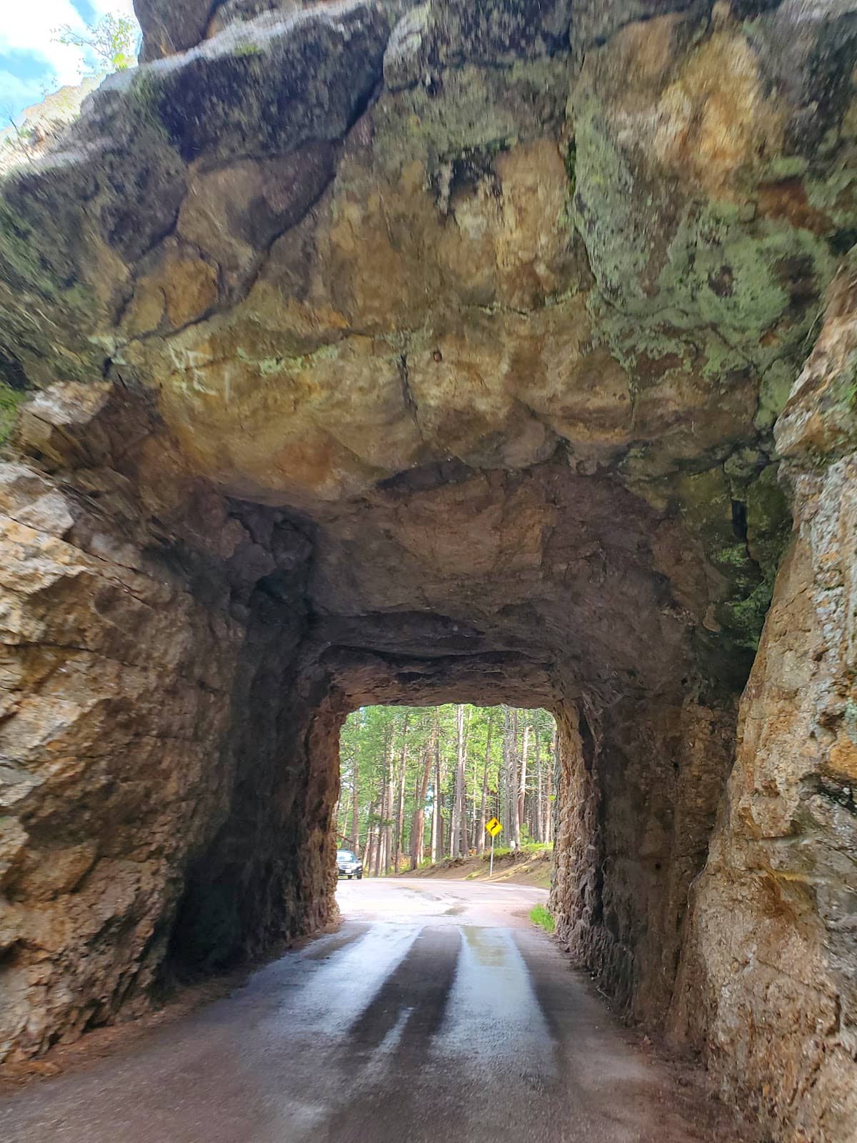 Vertical photo