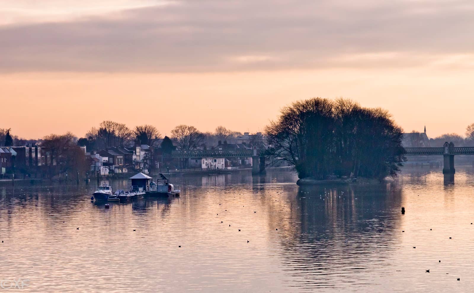Princess of Wales Conservatory