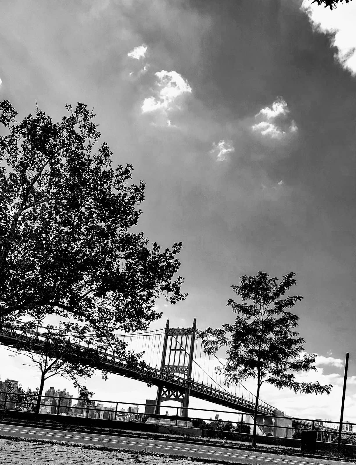 Vertical photo