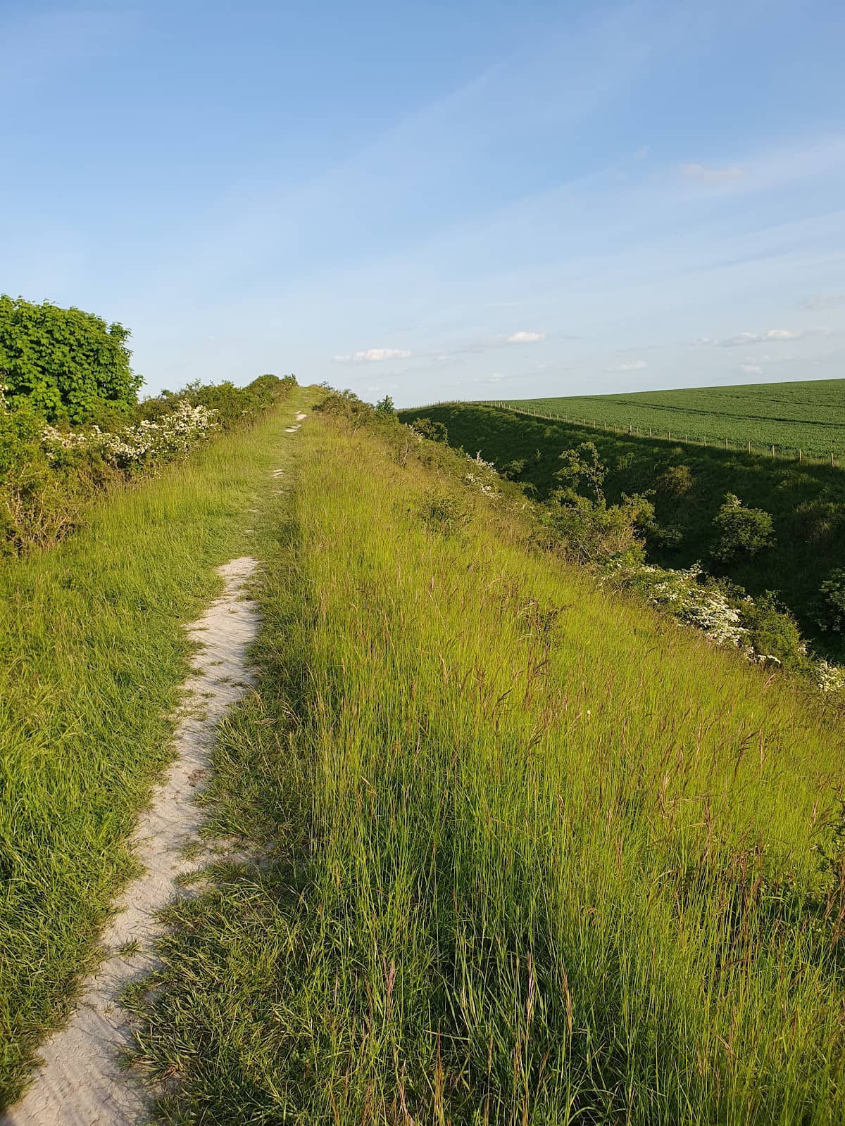 Walking Trails