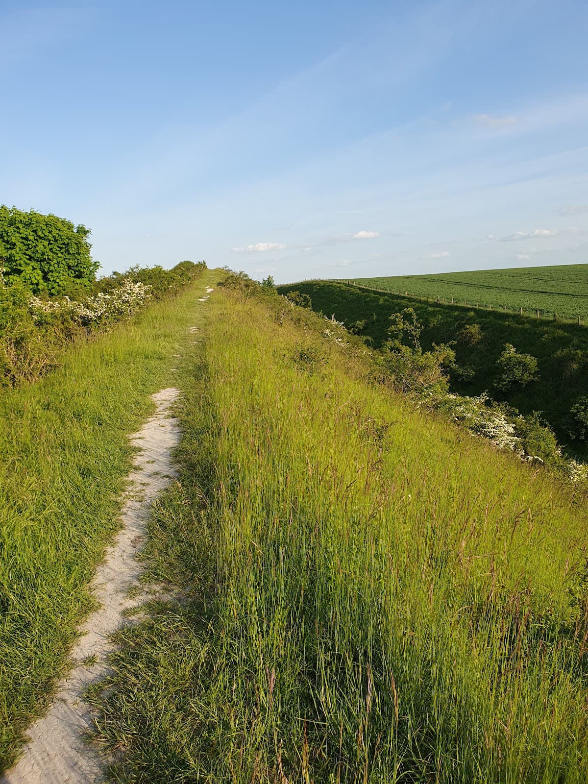 Devil's Dyke Reach - Image 1
