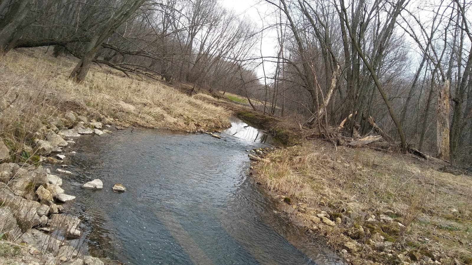 Community Cleanup Efforts