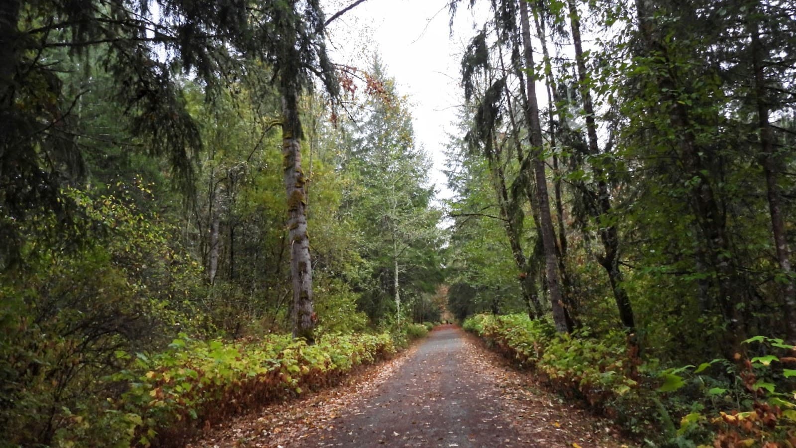 Cowichan Valley Trail - Image 1