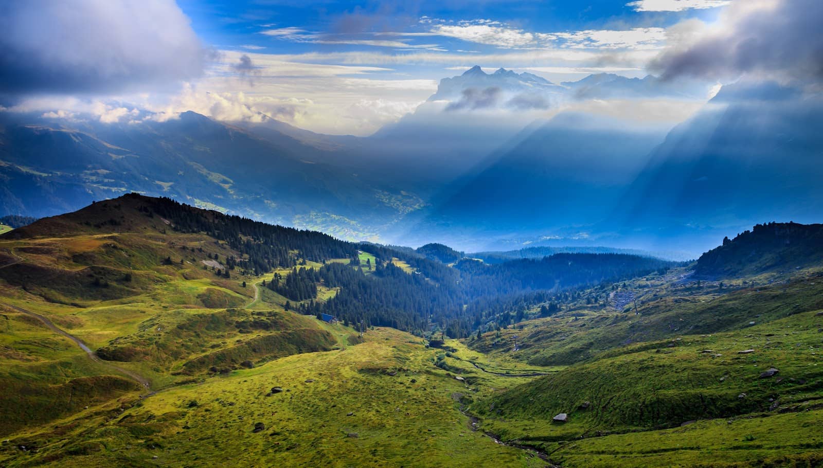 Panoramic Alpine Vistas