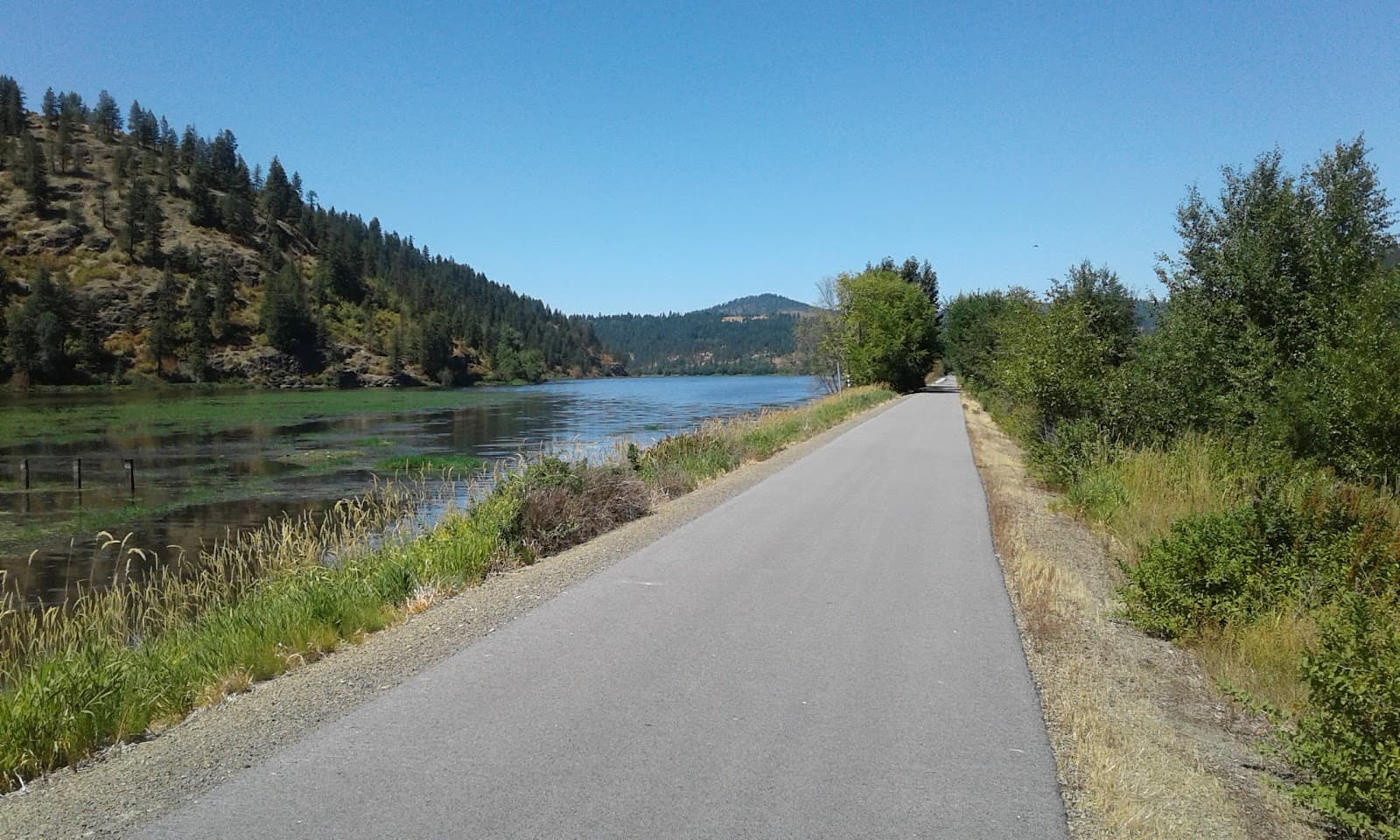 Trail of the Coeur d'Alenes - Image 1