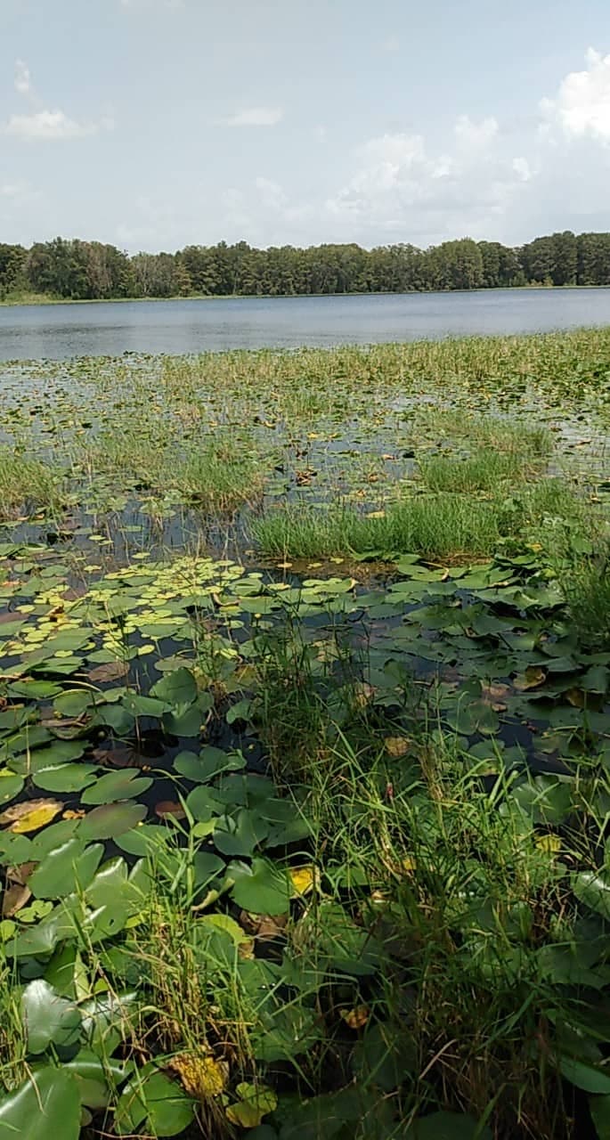 Withlacoochee State Trail - Image 1