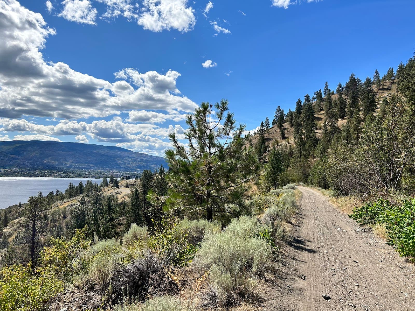 Kettle Valley Rail Trail (Naramata) - Image 1