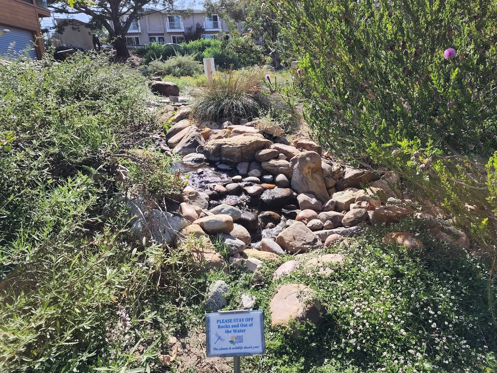 Downtown Manhattan Beach
