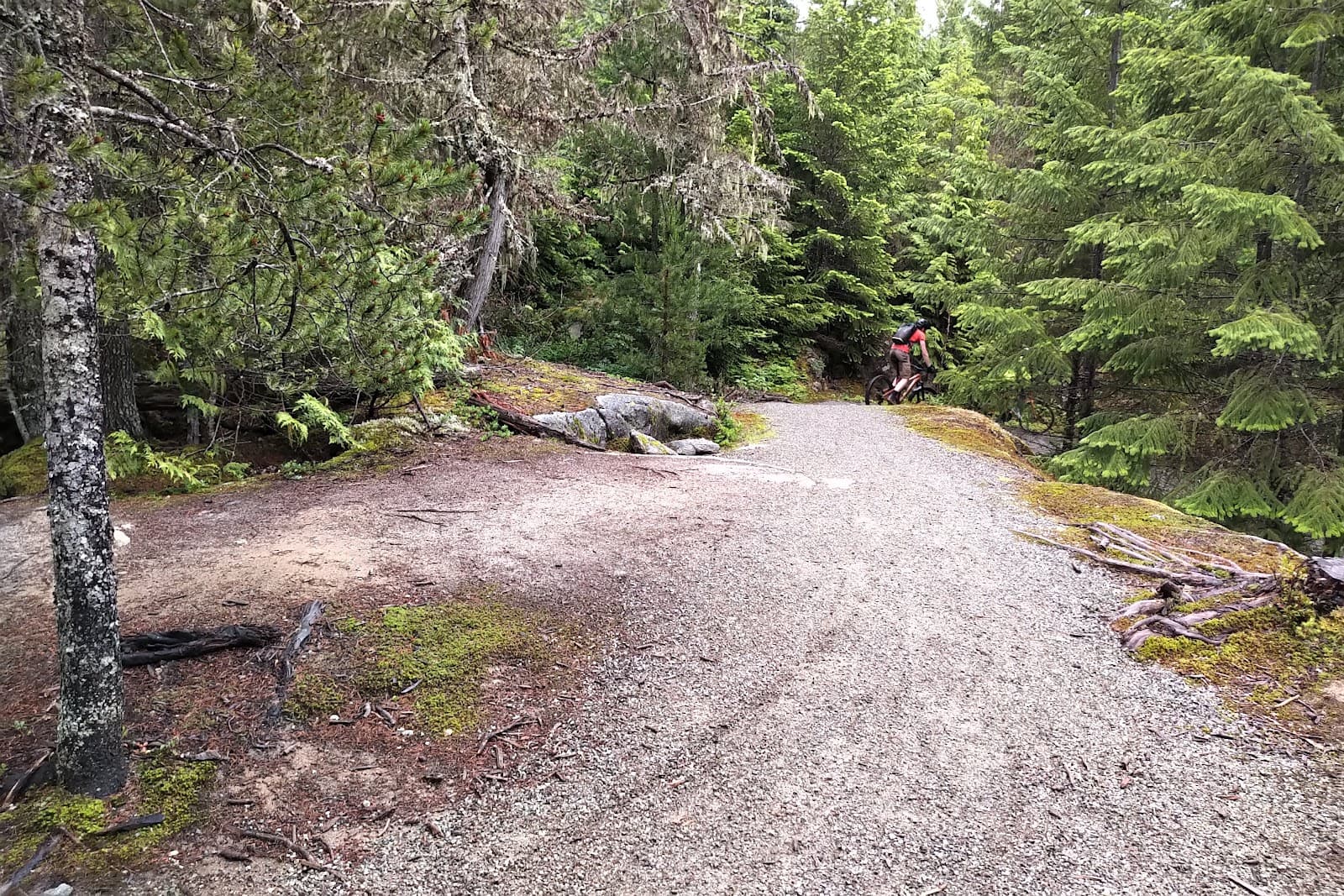 Sea to Sky Trail - Image 1