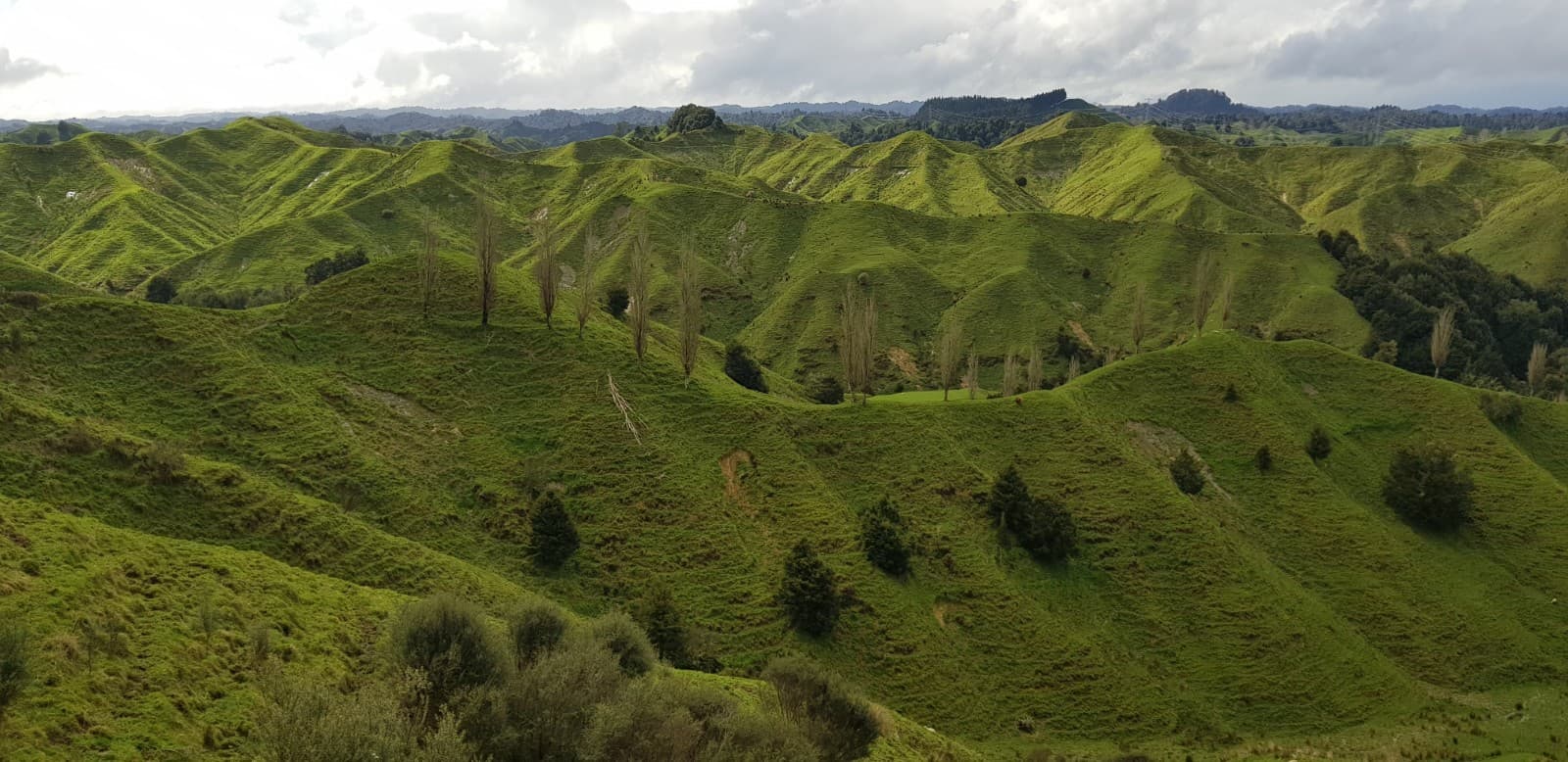 Forgotten World Highway - Image 1