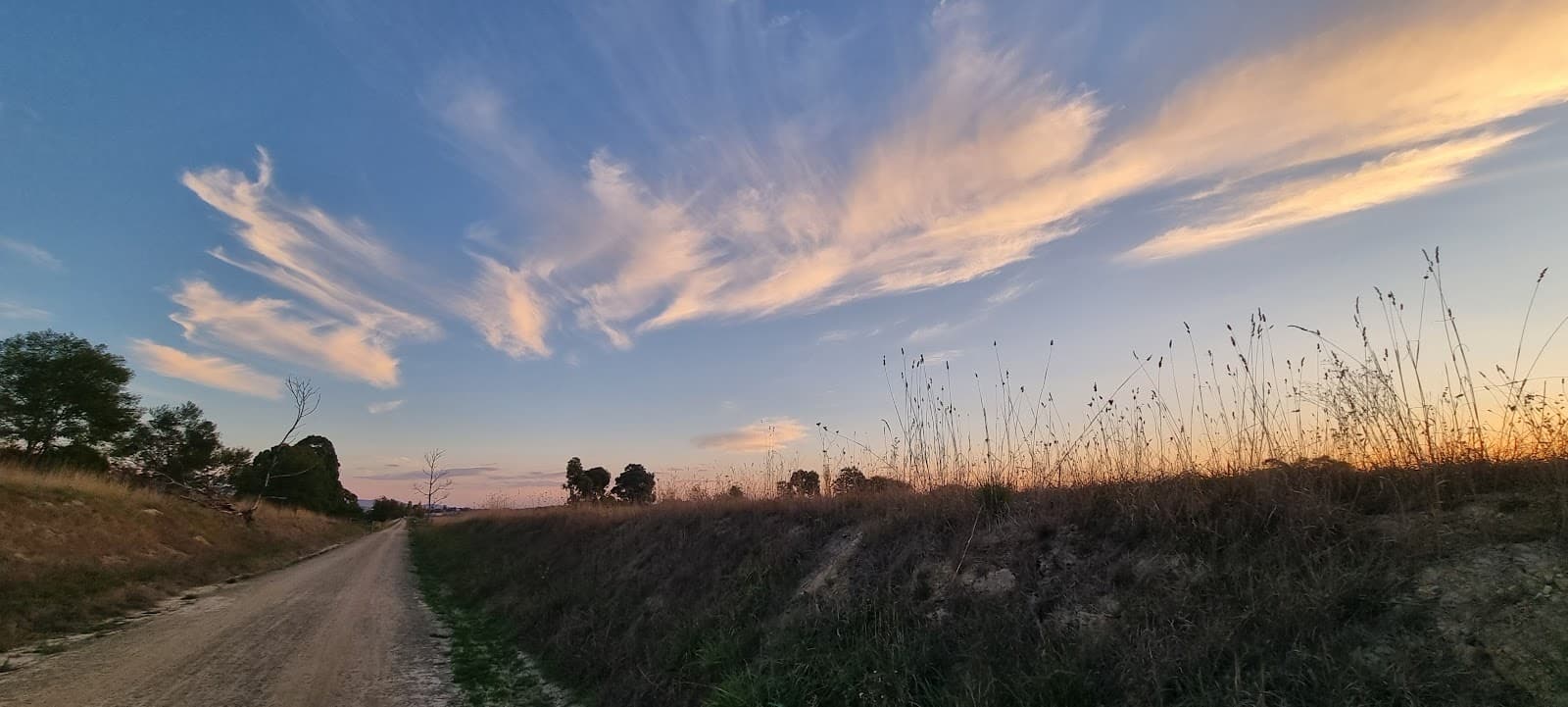 Yarra Valley Trail (Lilydale–Yering) - Image 1