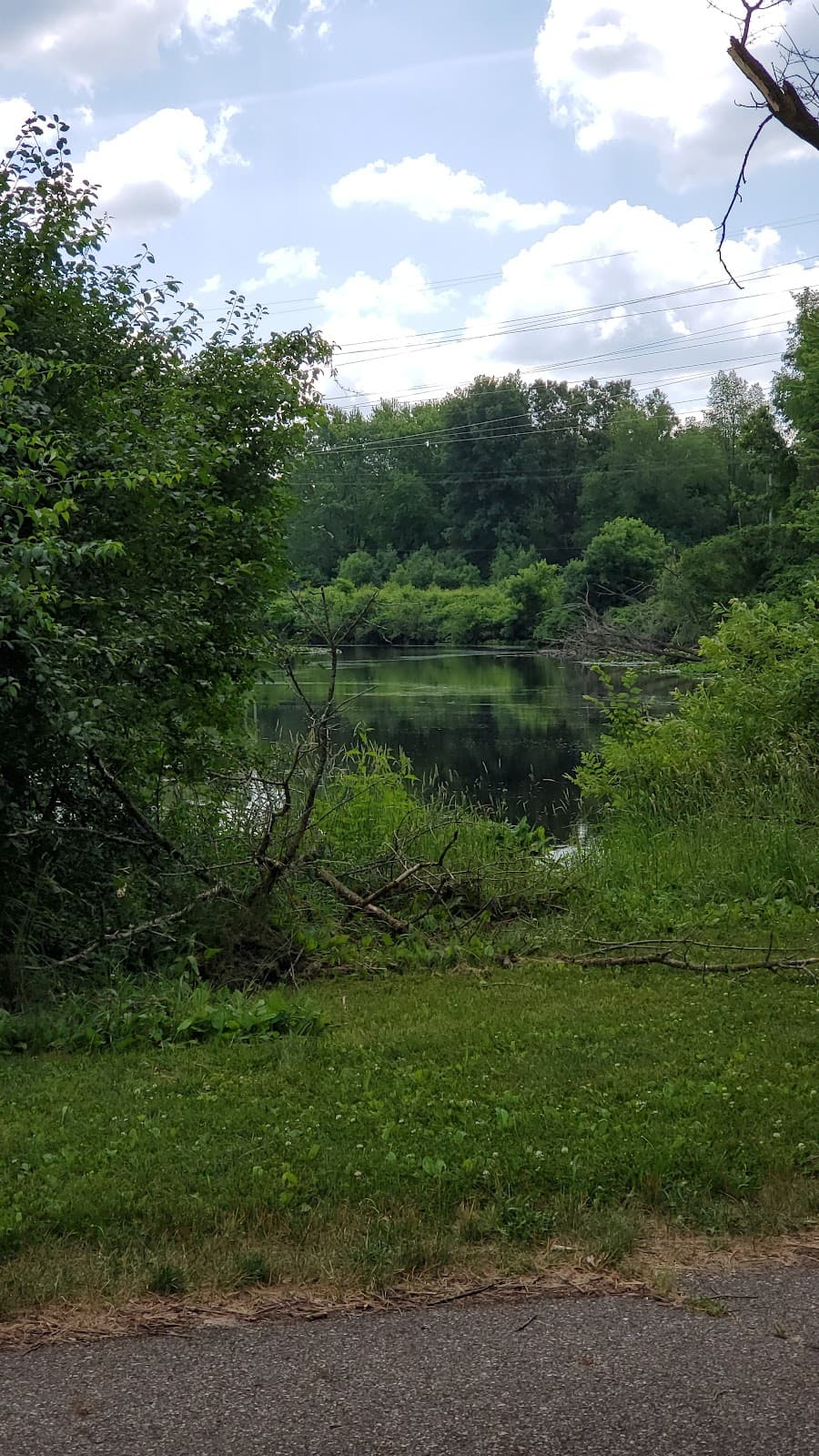 Battle Creek Linear Park - Image 1