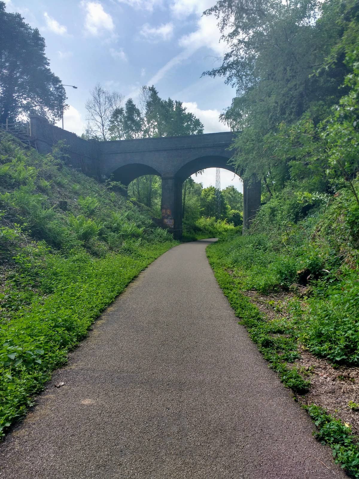 Scenic Walking Trails