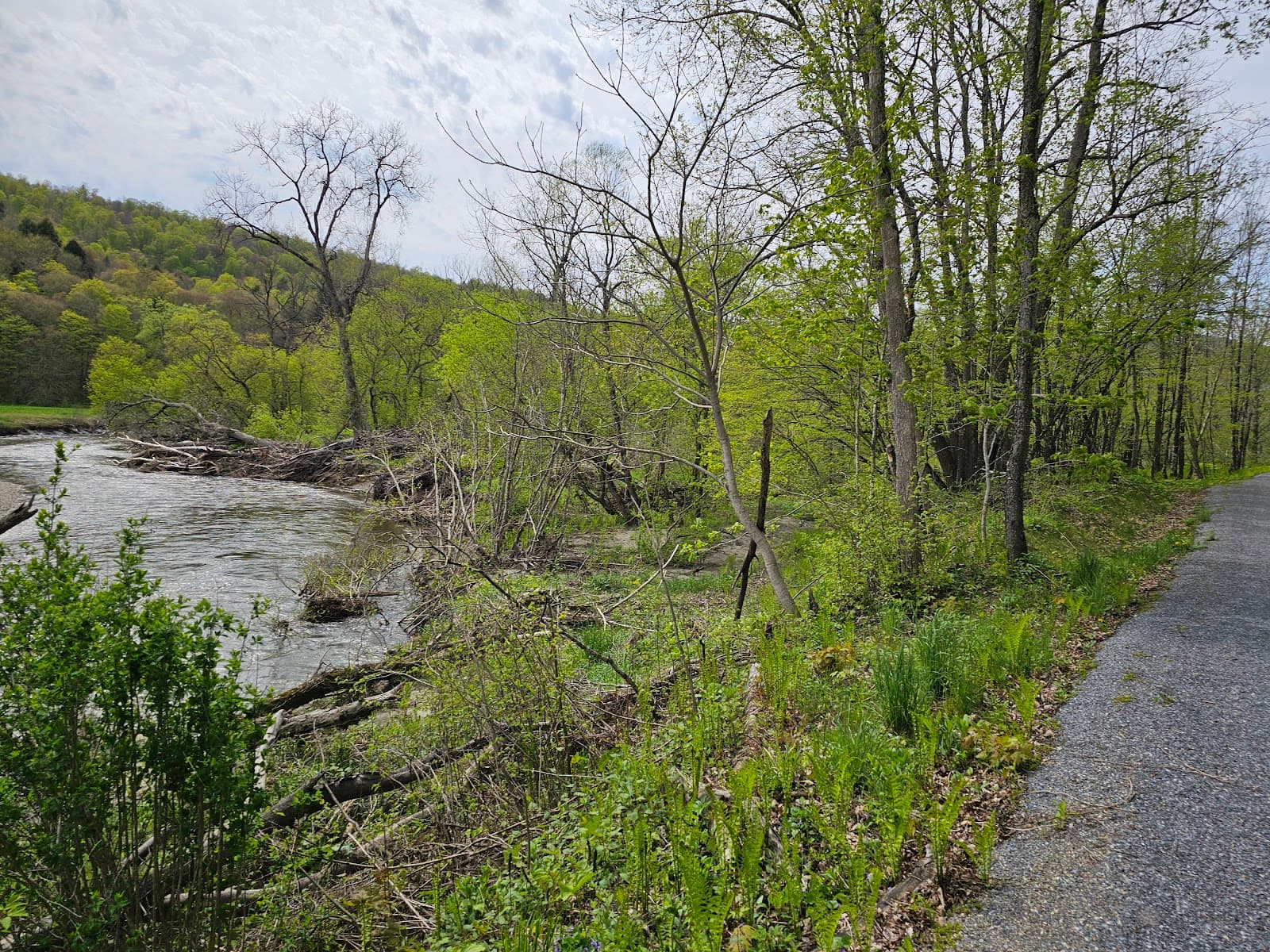 Lamoille Valley Rail Trail (St. Johnsbury) - Image 1