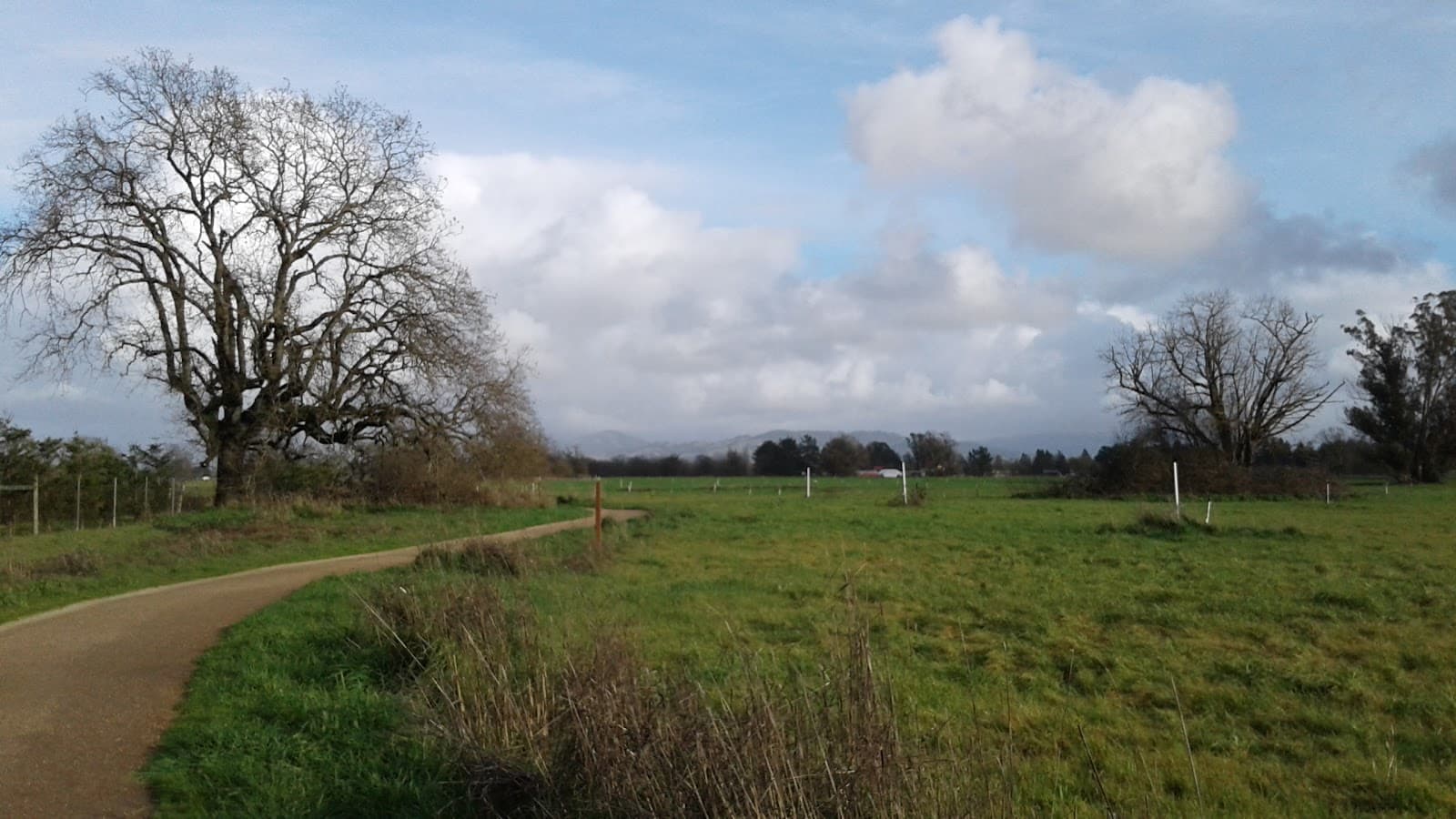 Laguna de Santa Rosa Trail - Image 1