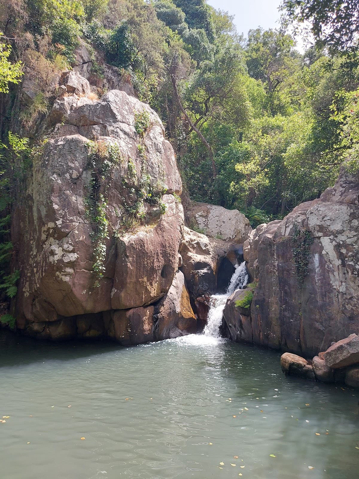 Río de la Miel Trail - Image 1