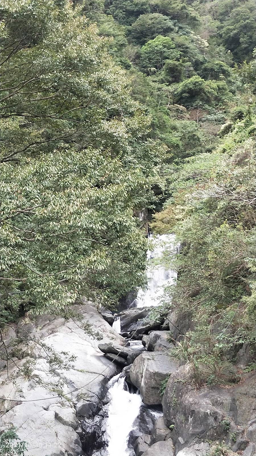 Vertical photo