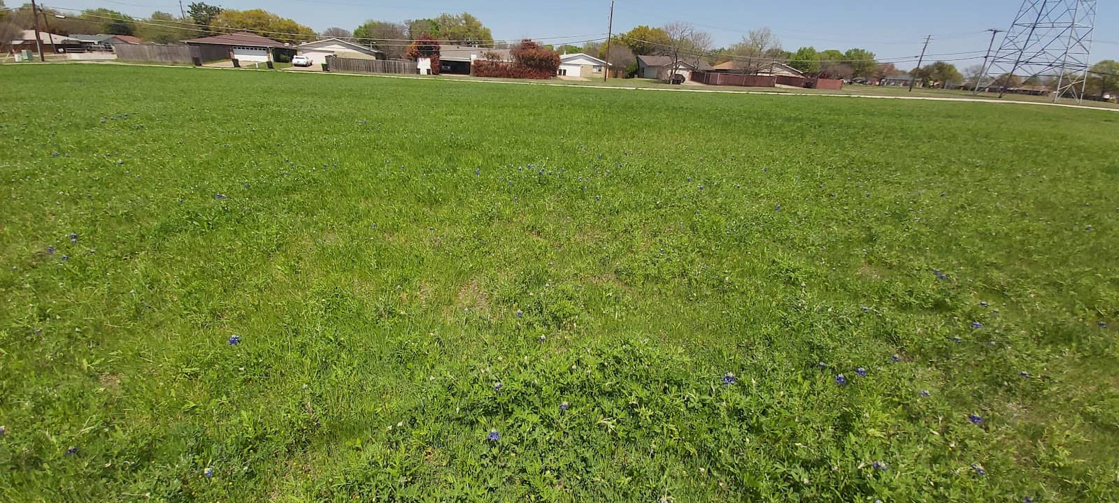 Brenham Bluebonnet Trail