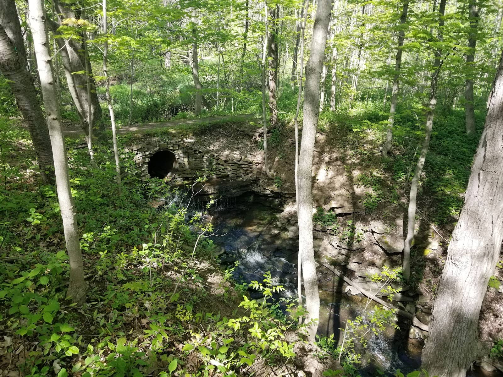 Mountainview Conservation Area