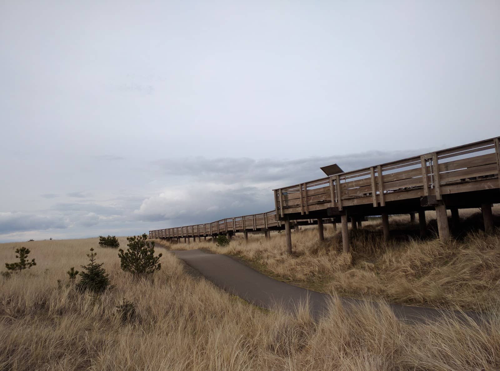 Olympic Peninsula's Coastal Views