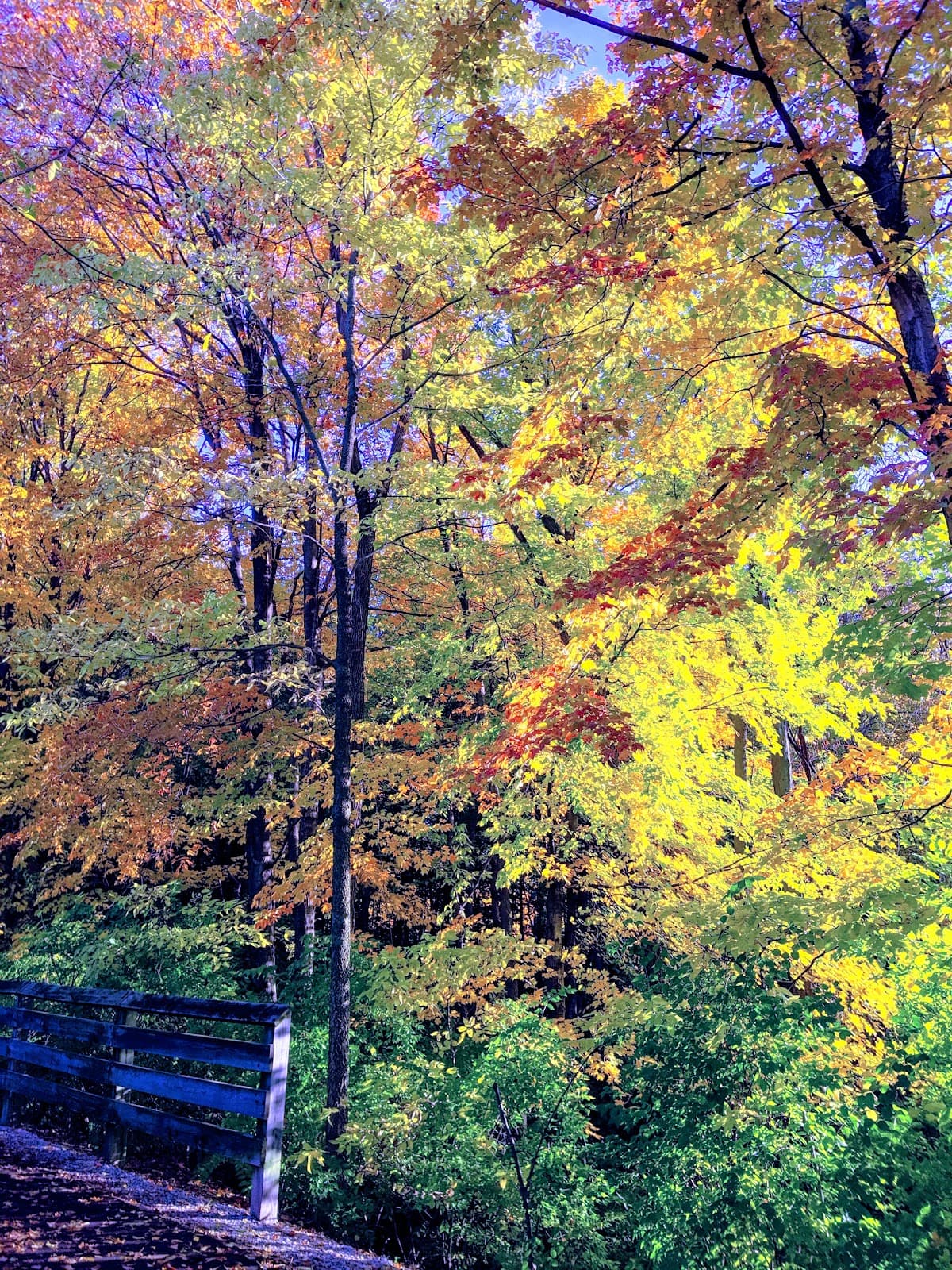 Monon Trail - Image 1