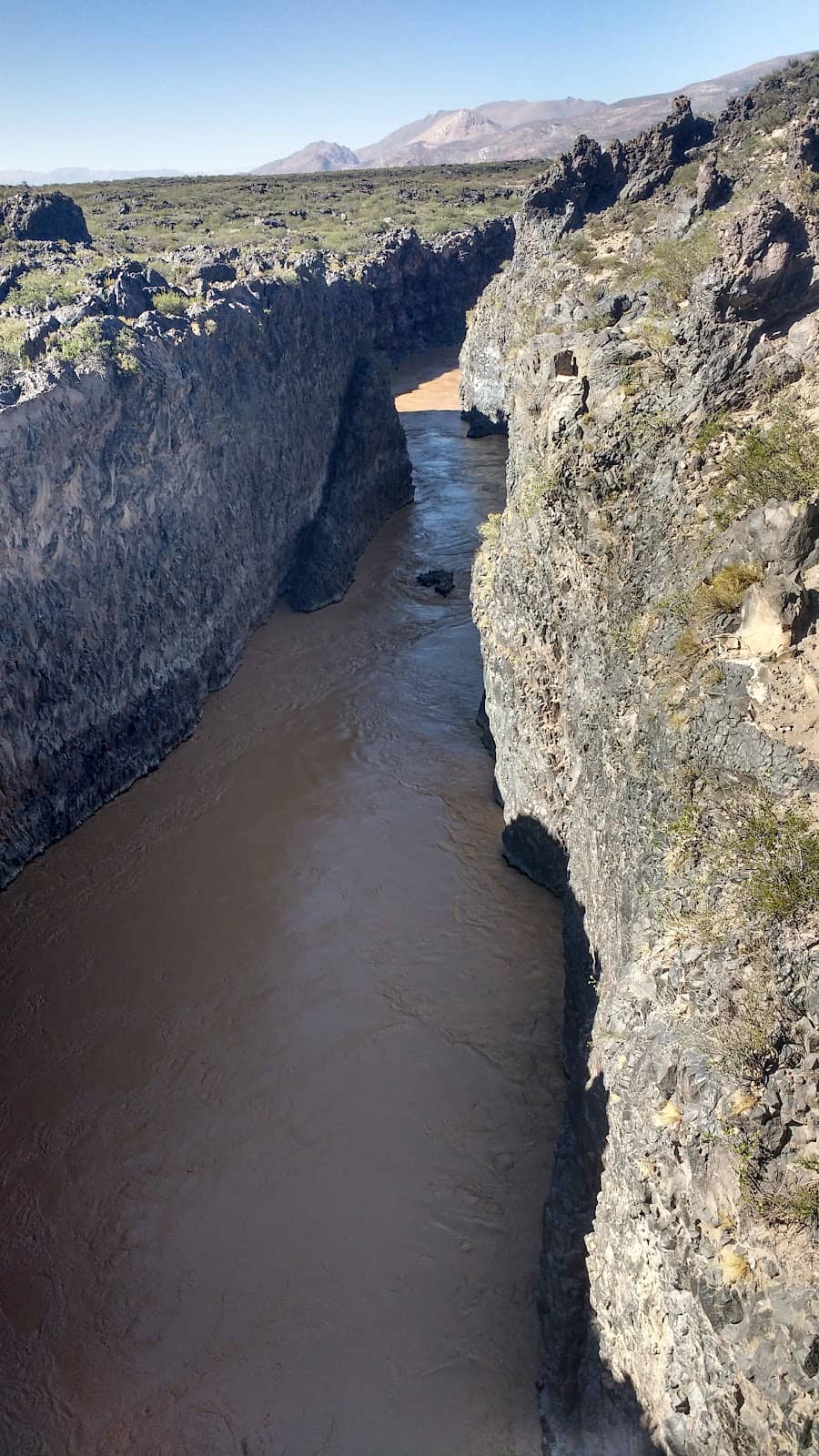 Vertical photo