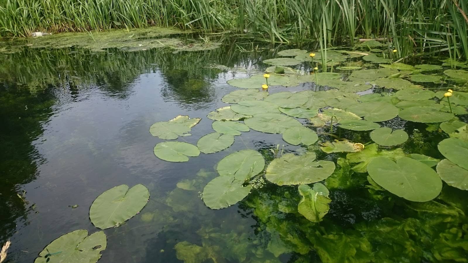 Peterborough Cathedral