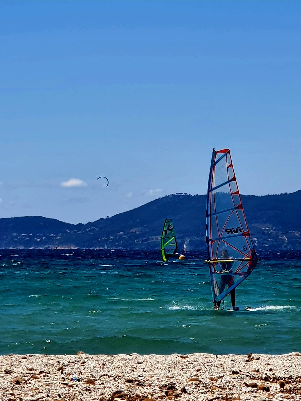 Birdwatching Opportunities