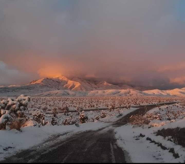 Remote Wilderness Exploration