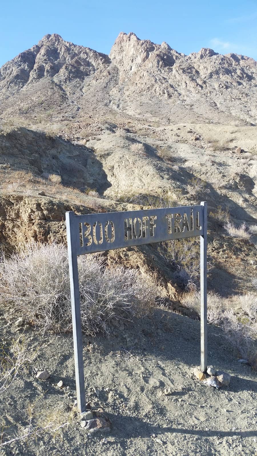 Desert Flora & Fauna