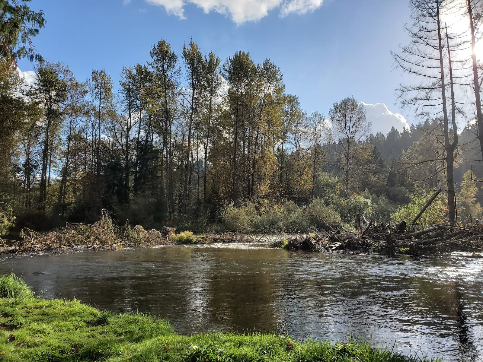 Cedar River Trail - Image 1