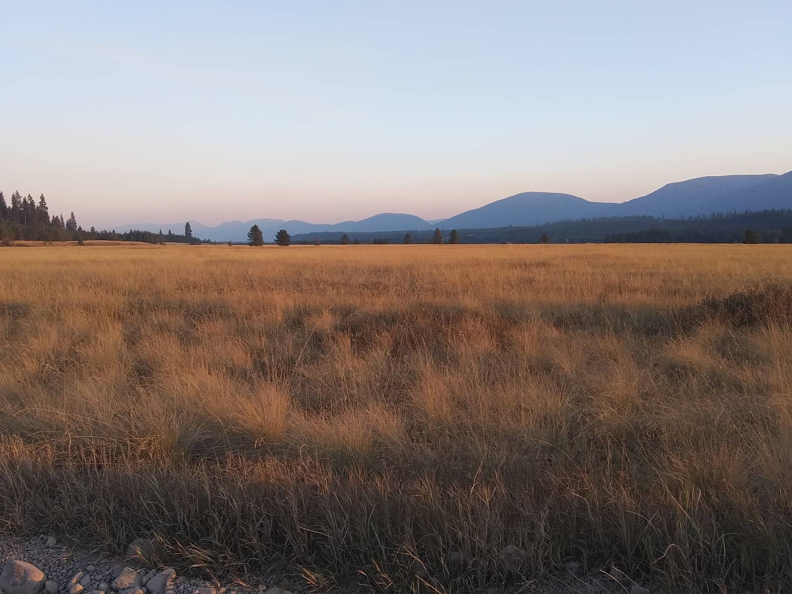 Polebridge Mercantile's Bear Claws