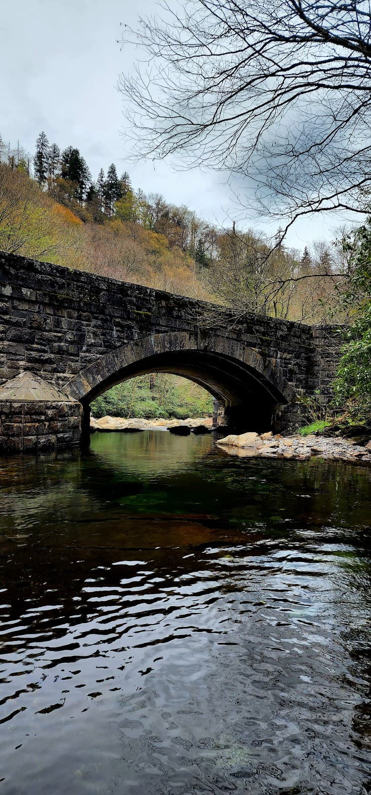 Newfound Gap - Image 1