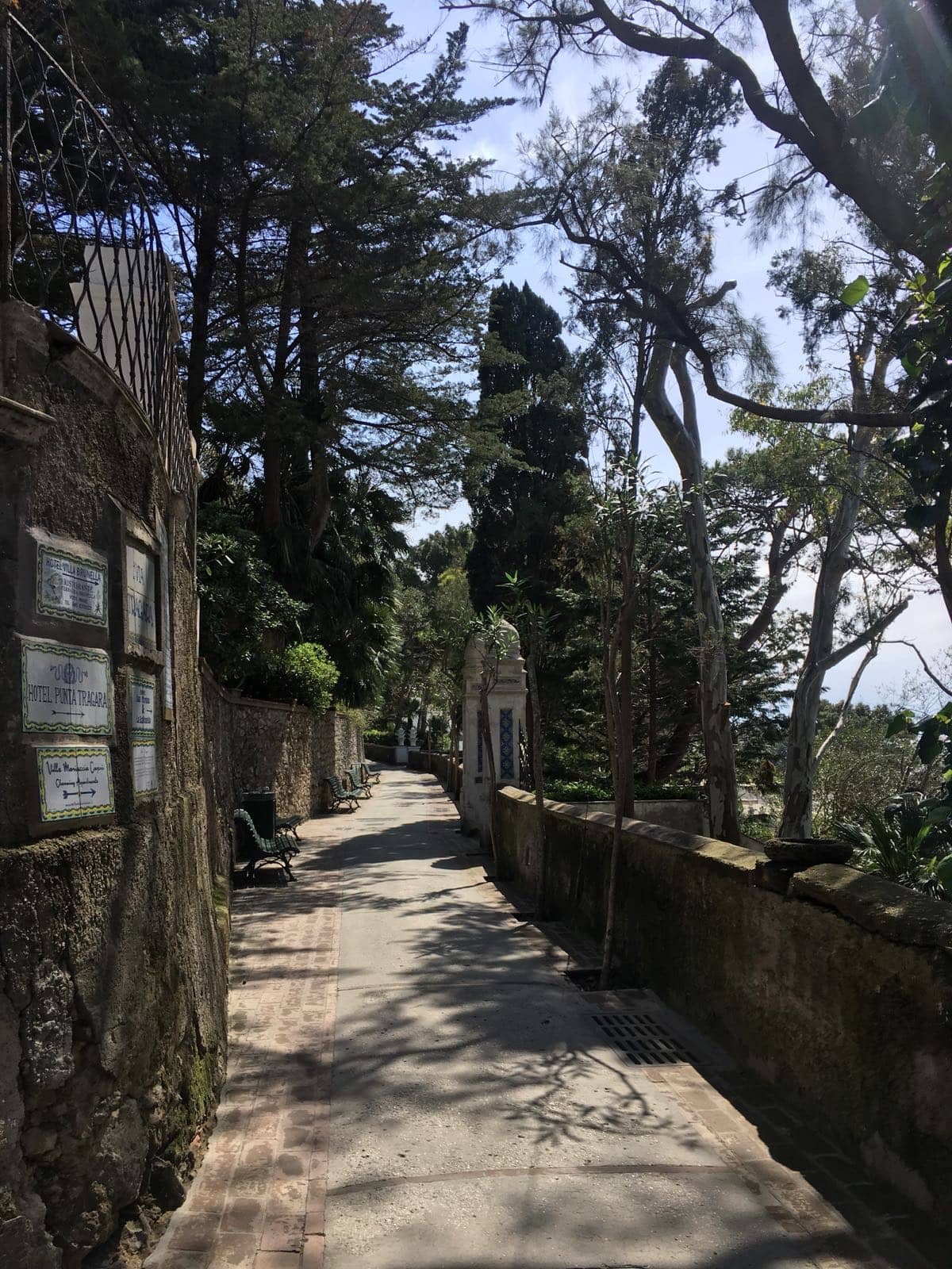 Vertical photo