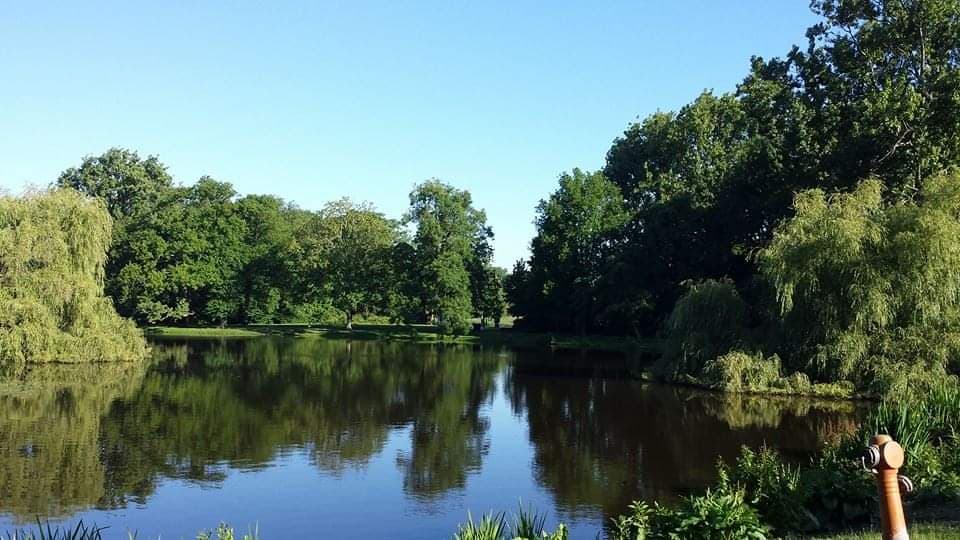 Vondelpark & Oud-West Amsterdam - Image 1