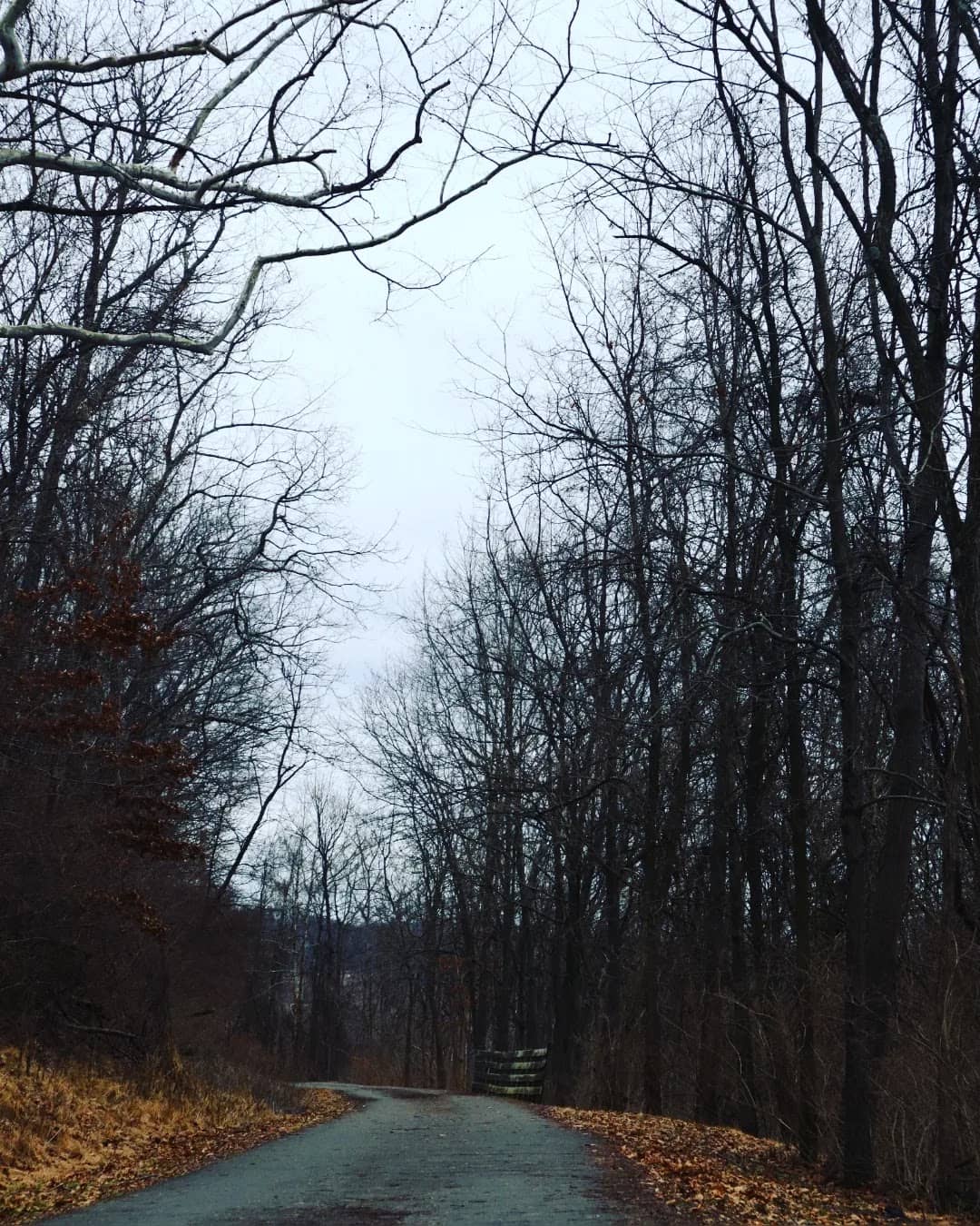 Downtown Morgantown Access