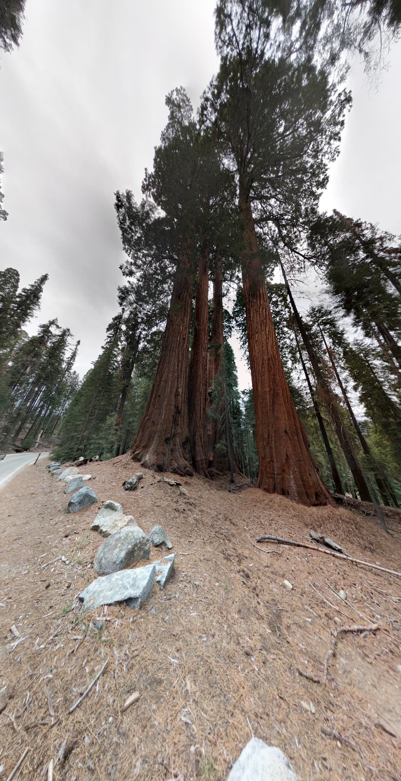 Generals Highway - Image 1