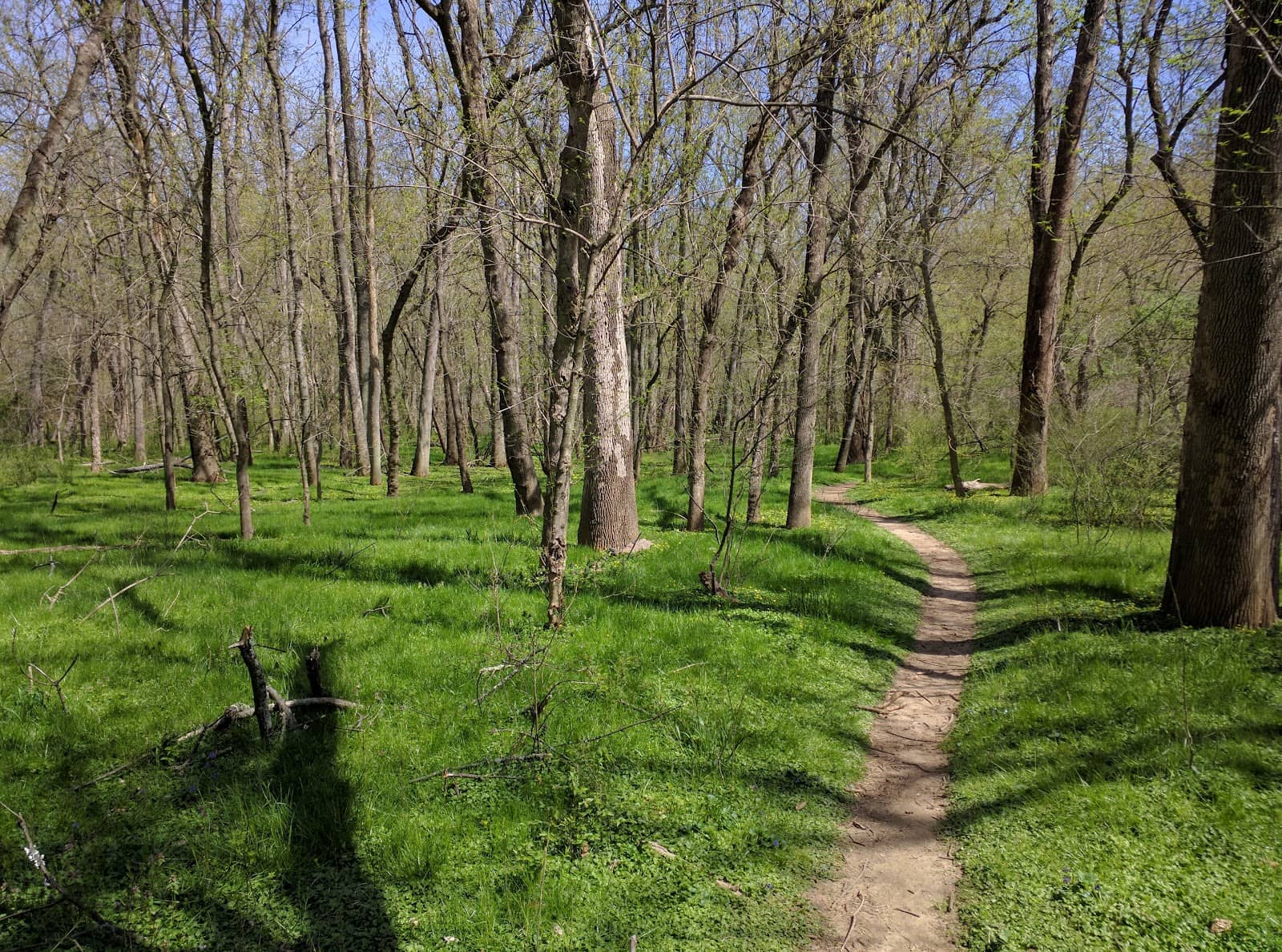Unpaved Hiking Paths