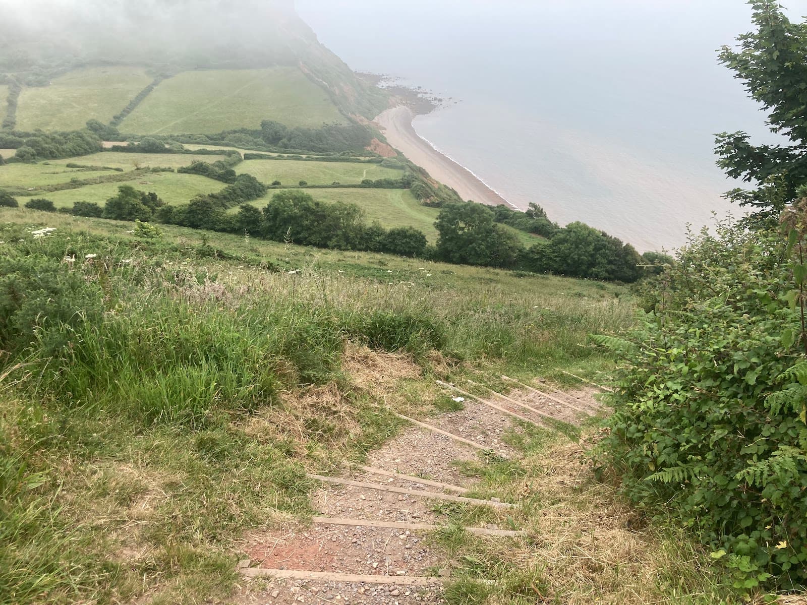 Salcombe Hill - Image 1