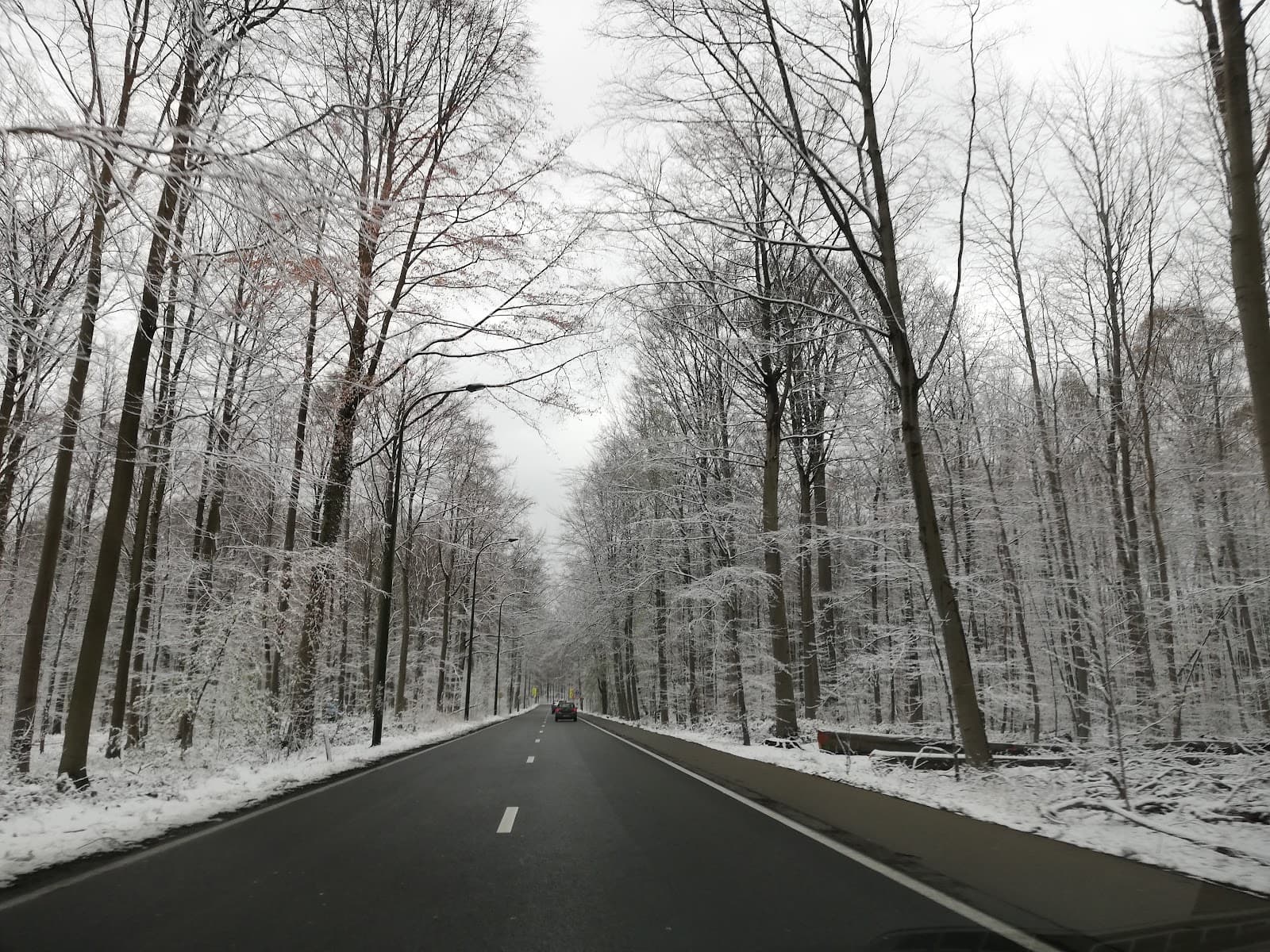Avenue de Tervueren Brussels - Image 1