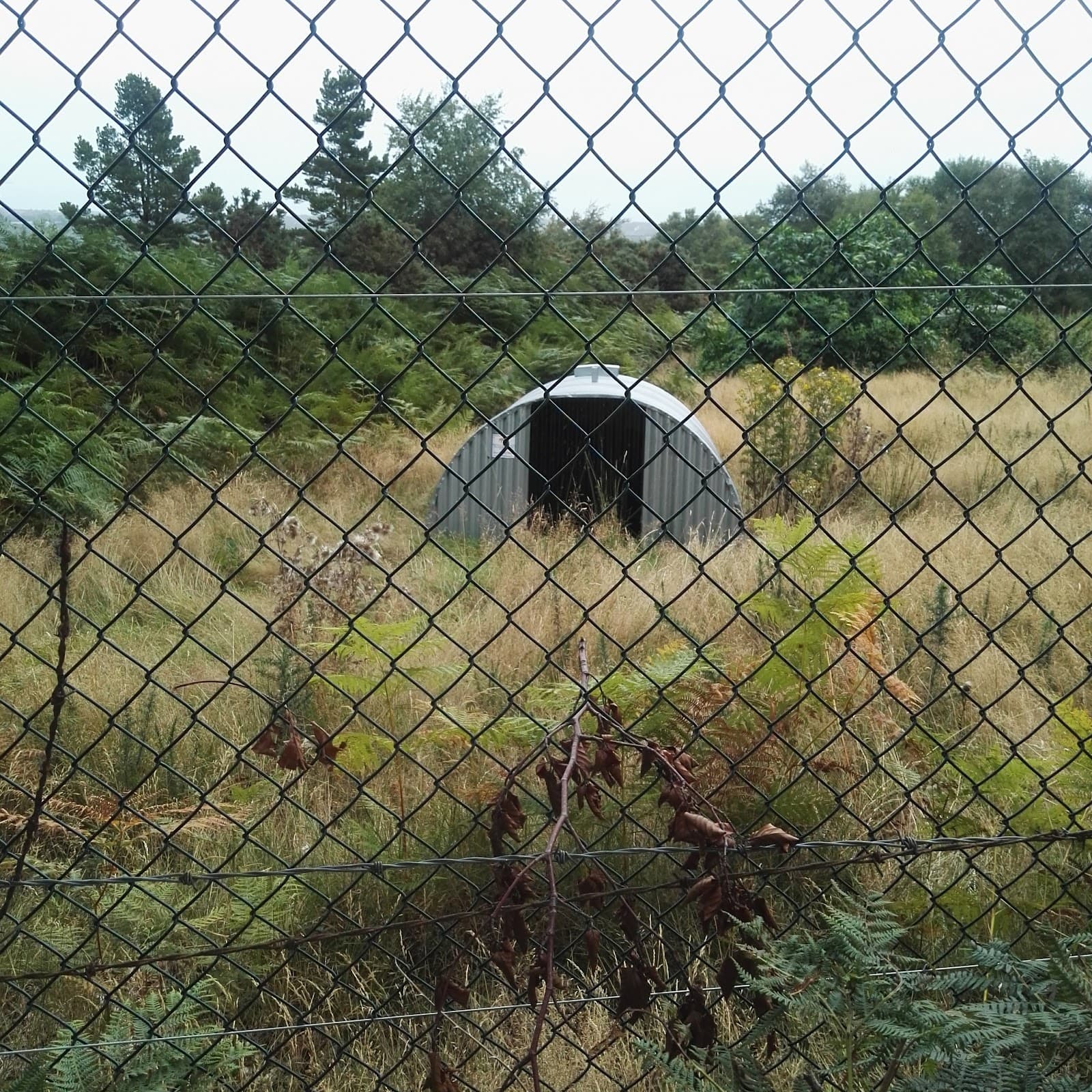 Barnaslingan Lane - Image 1