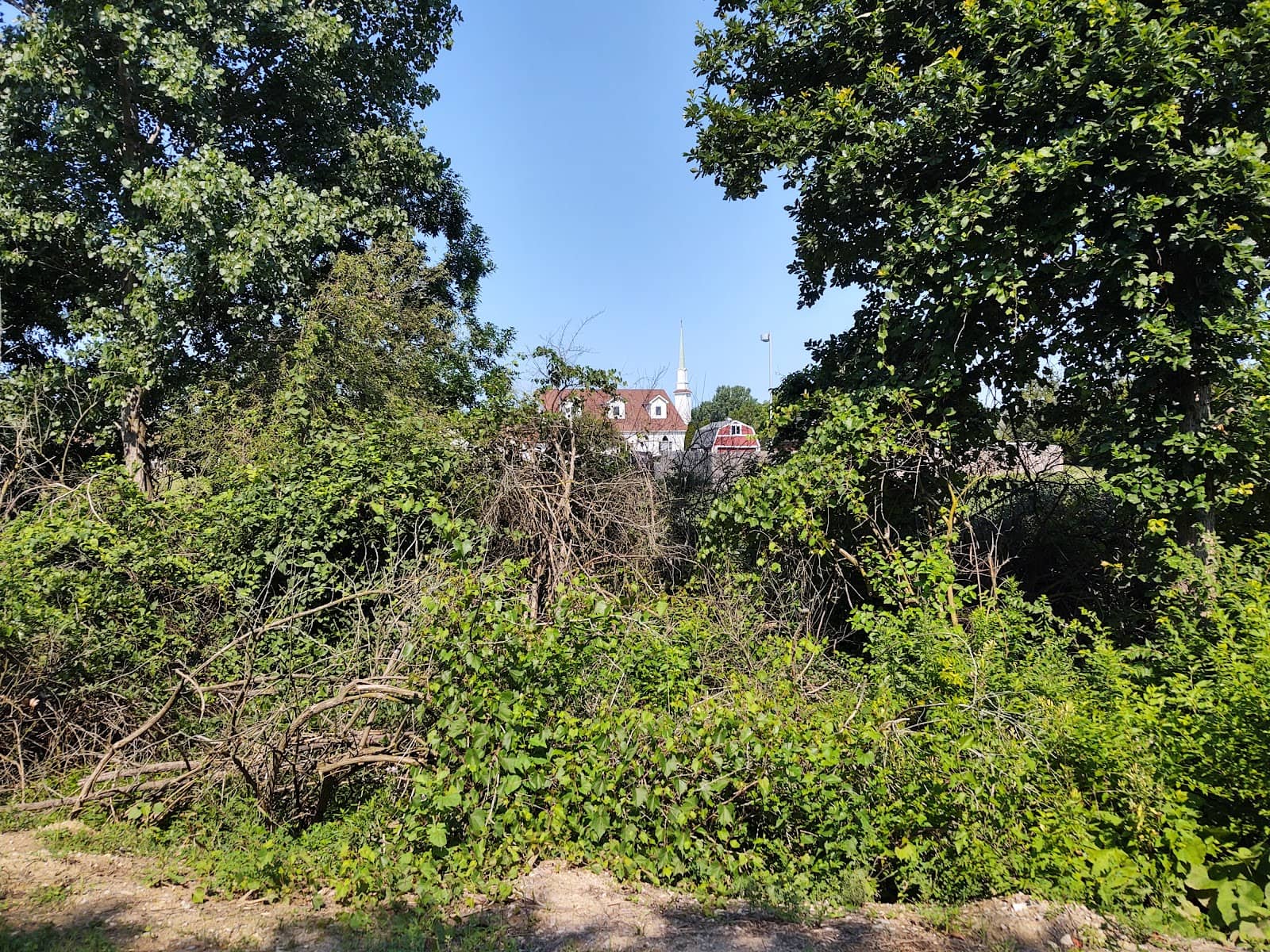 Downtown Fishers Dining