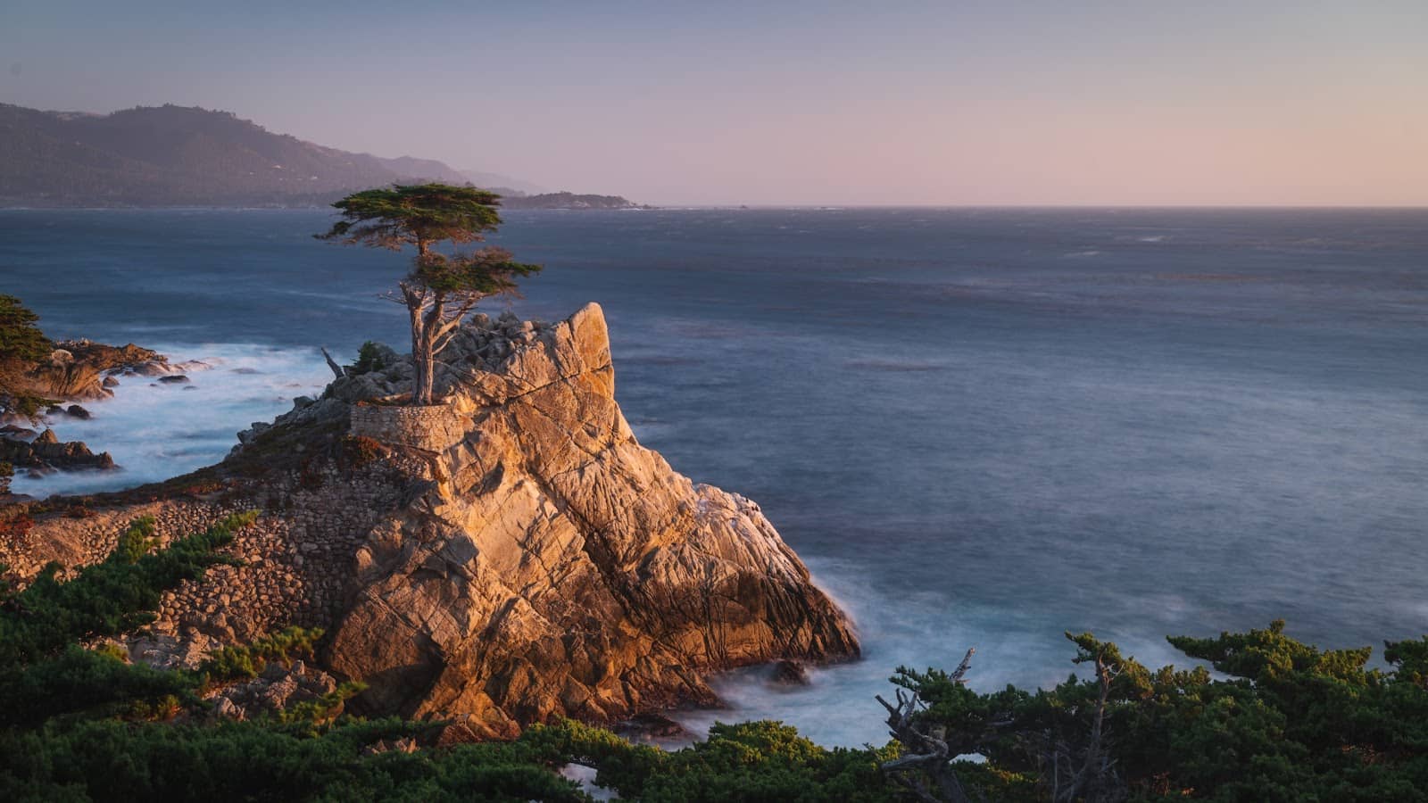 Bird Rock