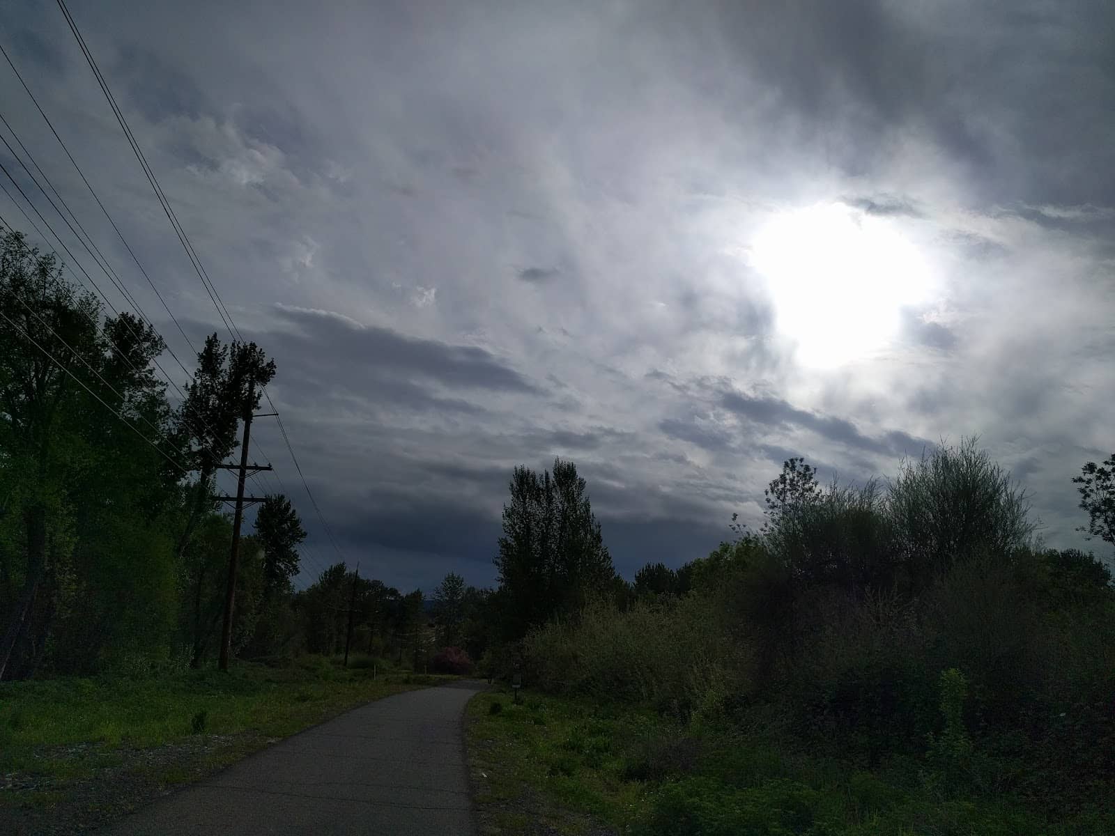 Vertical photo