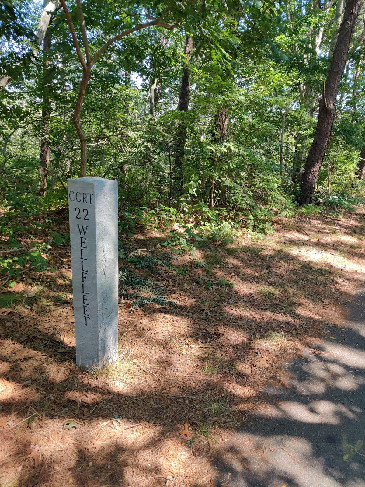 Cape Cod Rail Trail - Image 1